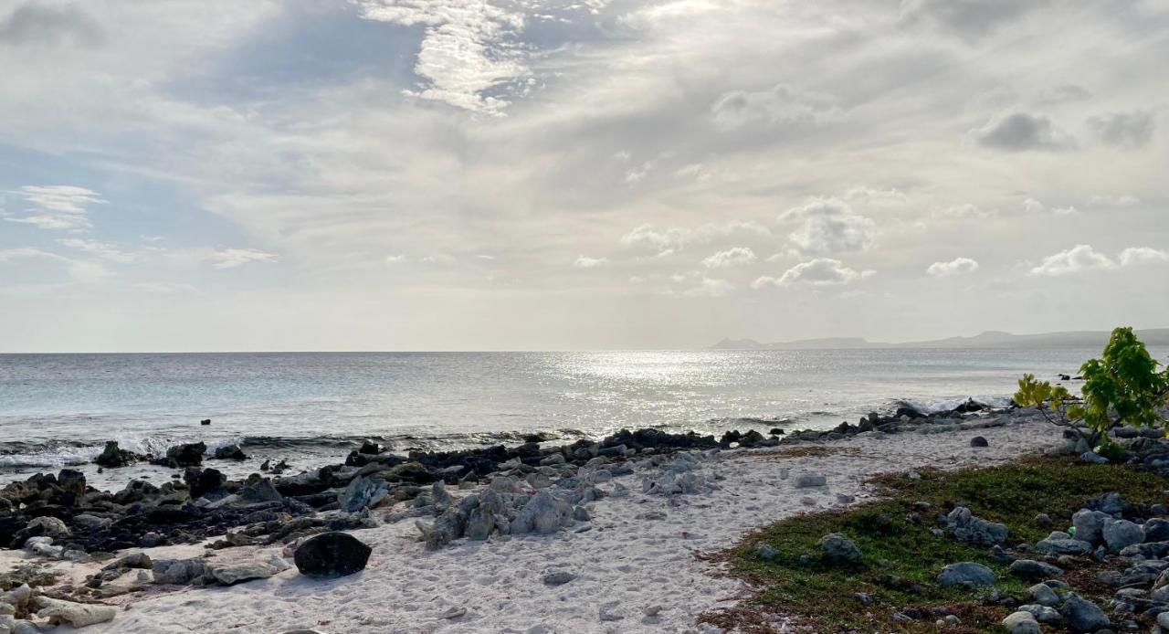 Hakuna Matata Bonaire - Beach & Diving Playa Exterior photo