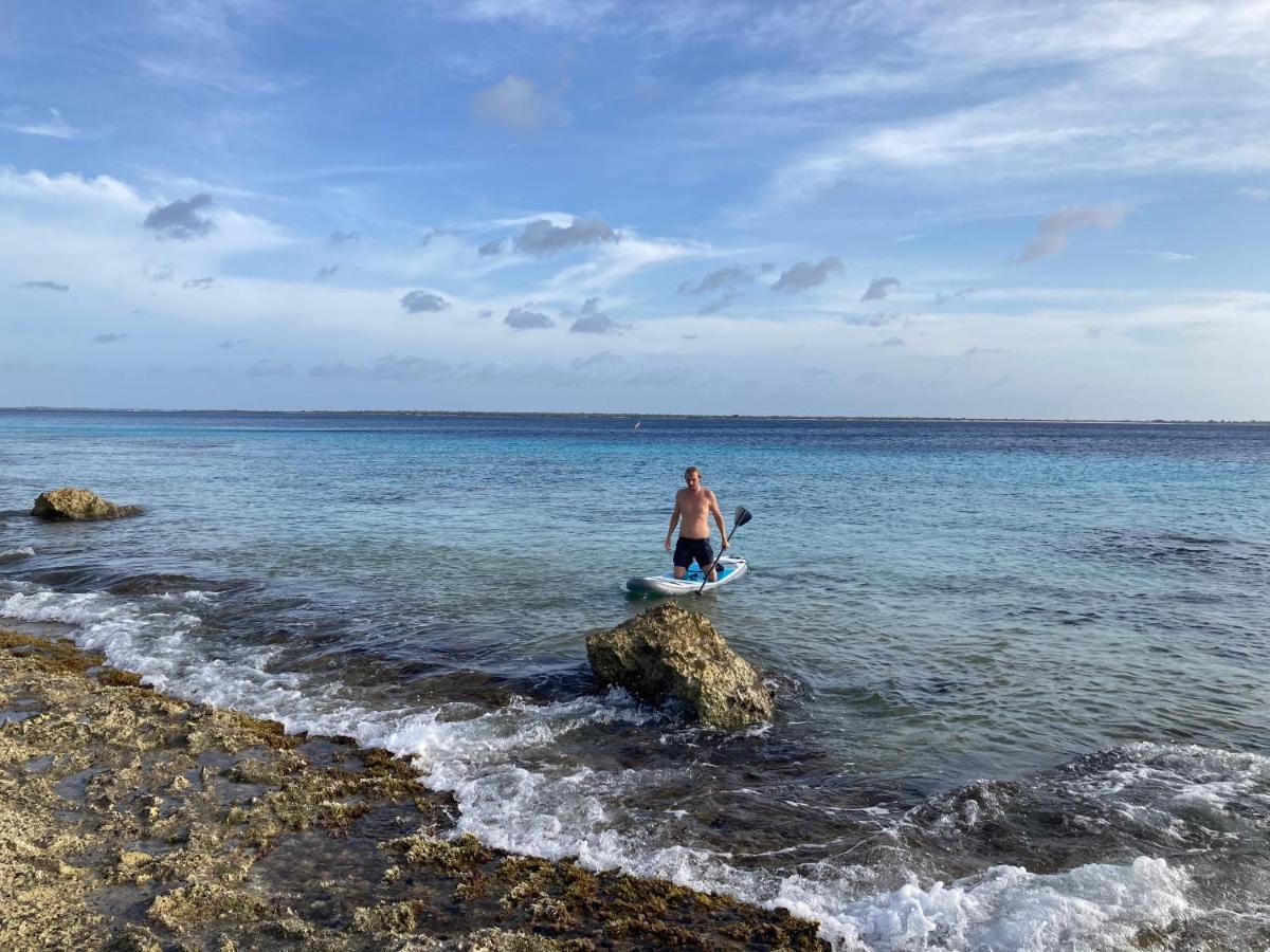 Hakuna Matata Bonaire - Beach & Diving Playa Exterior photo