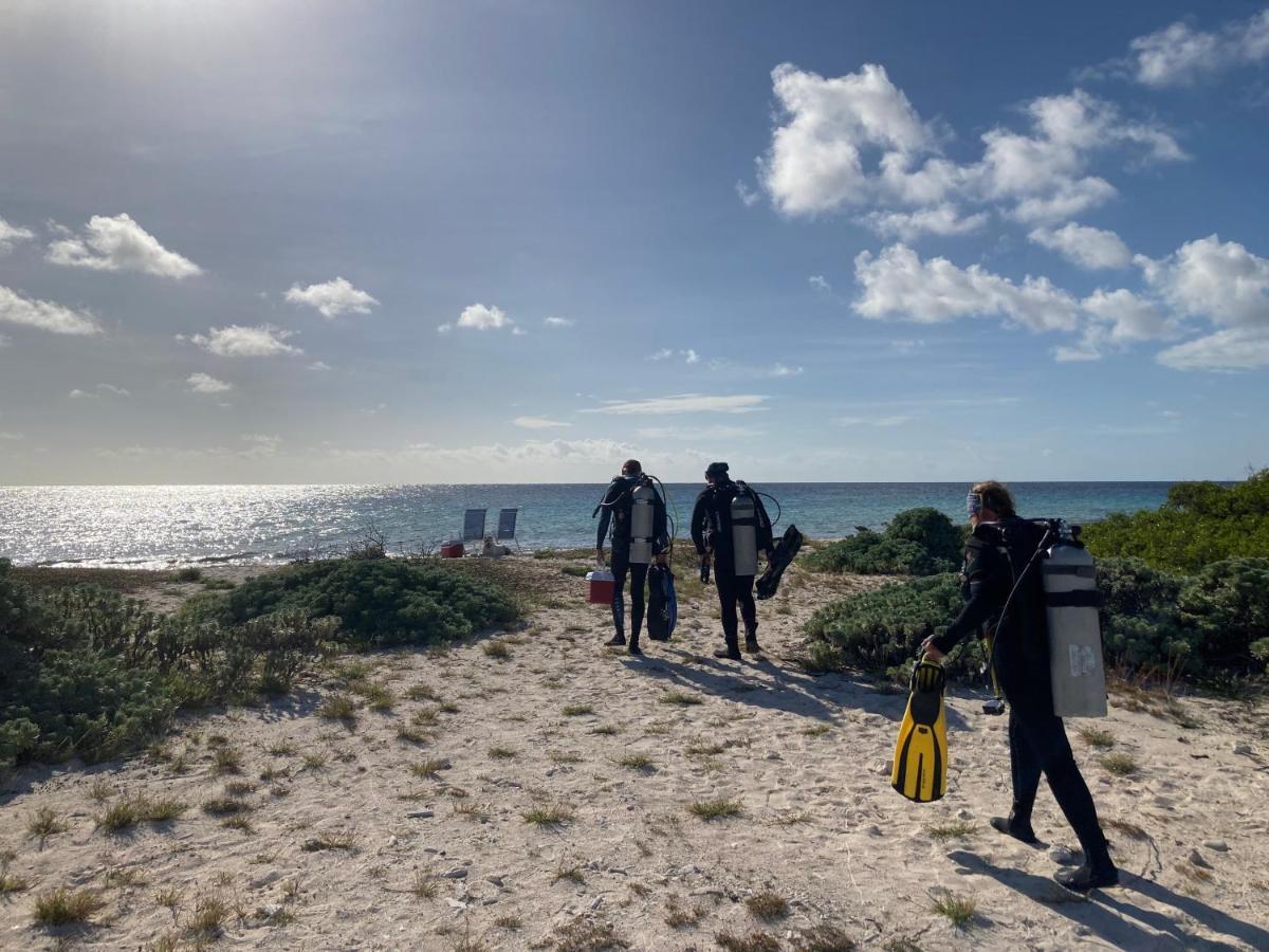 Hakuna Matata Bonaire - Beach & Diving Playa Exterior photo