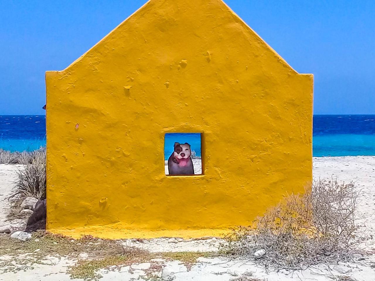 Hakuna Matata Bonaire - Beach & Diving Playa Exterior photo